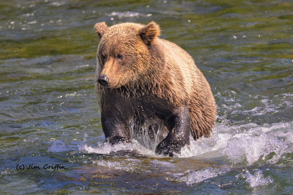 Bead in the river