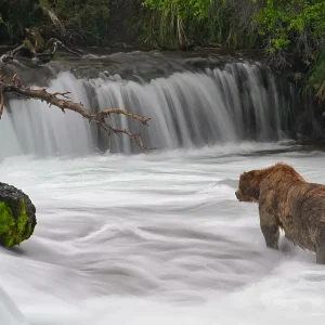 747 facing falls at Brooks river