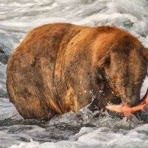 747 and his catch