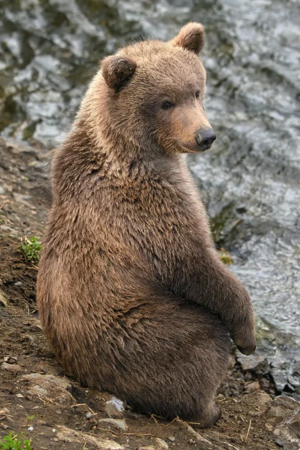 Bead in 2022 sitting on the bank