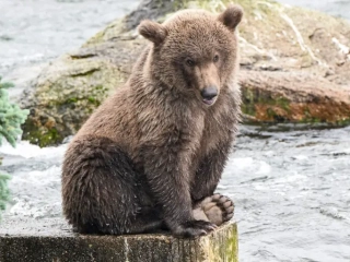 Bead on the wall Bead on the wall