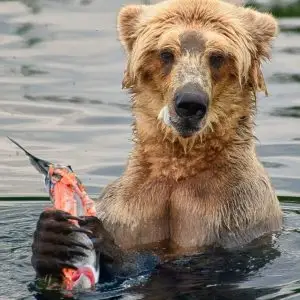 Catch of the day
