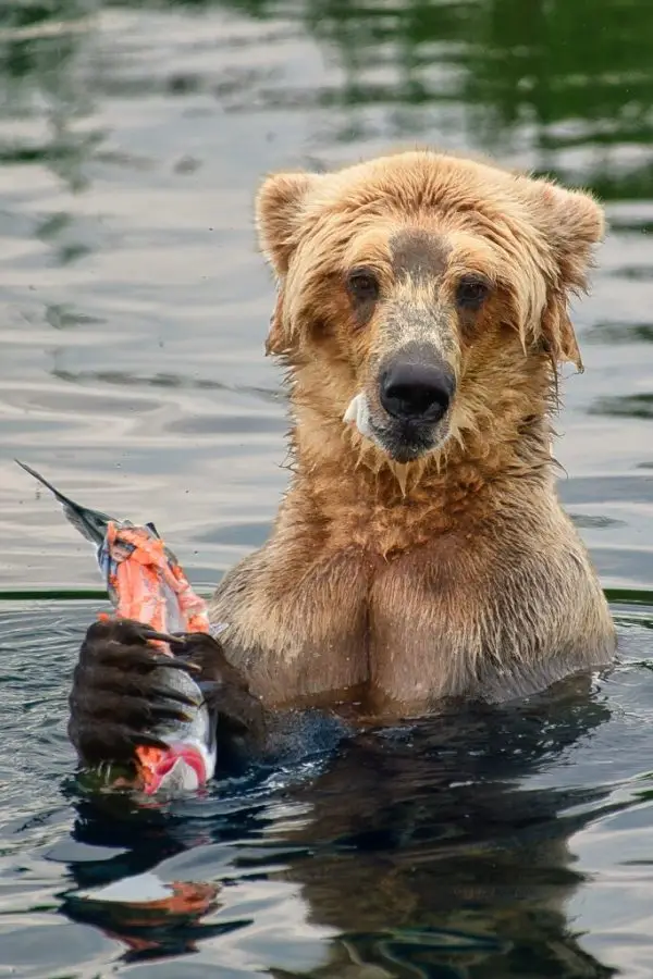 Catch of the day